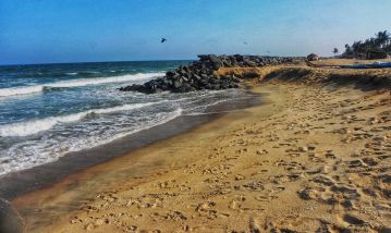 Beach of Auroville