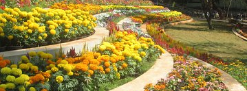 Botanical Gardens in Pondicherry